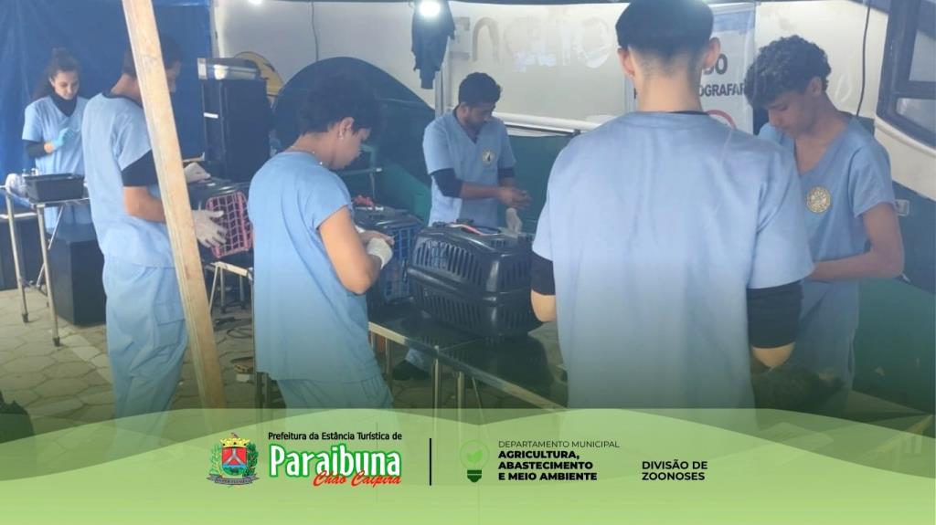 Campanha gratuita de castração beneficia mais de 150 animais entre cães e gatos em Paraibuna