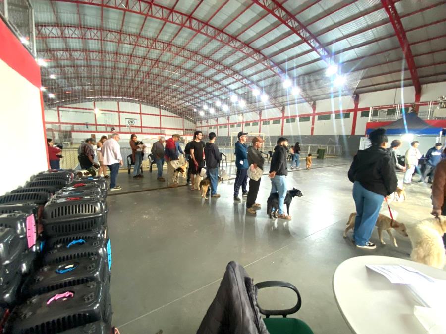 Campanha de castração de cães e gatos beneficiou 187 animais em mais uma etapa realizada pela Prefeitura