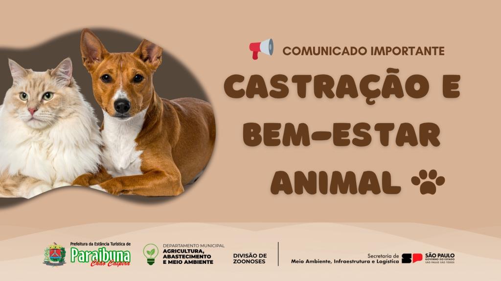 Zoonoses divulga orientações importantes aos tutores de cães e gatos do município