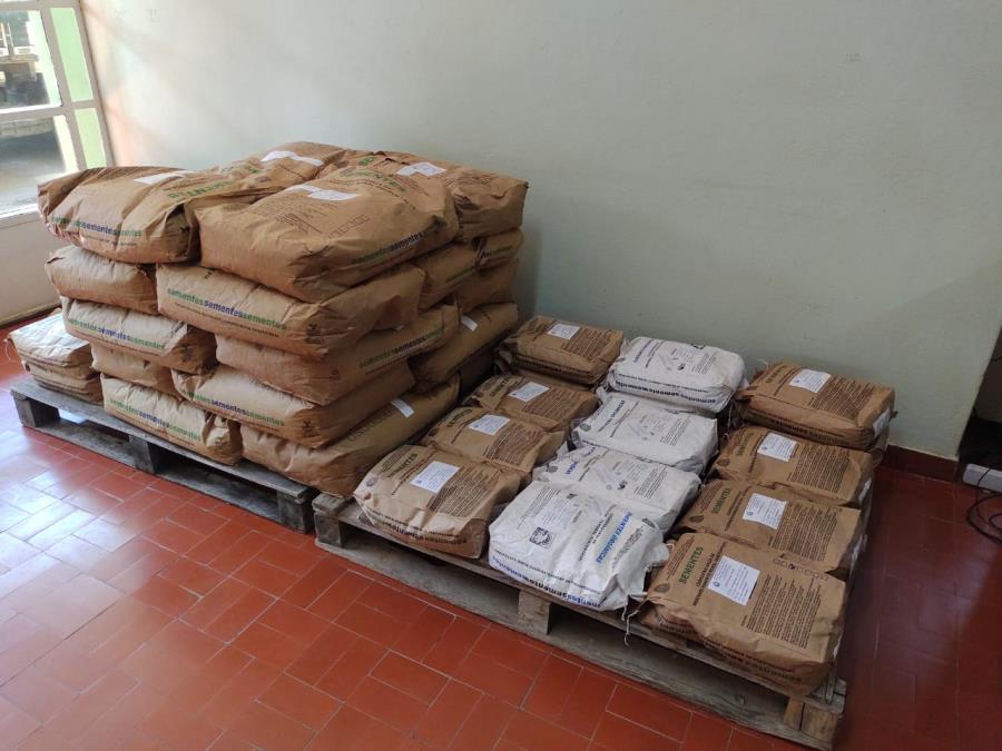 Economia: Produtores rurais de Paraibuna podem comprar sementes de milho a preços mais acessíveis