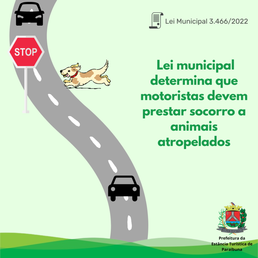 Lei municipal determina que motoristas devem prestar socorro a animais atropelados