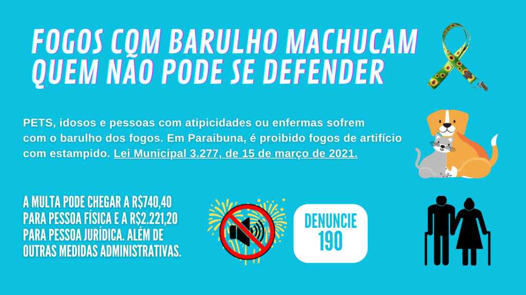 Fogos com estampido são proibidos em Paraibuna desde 2021