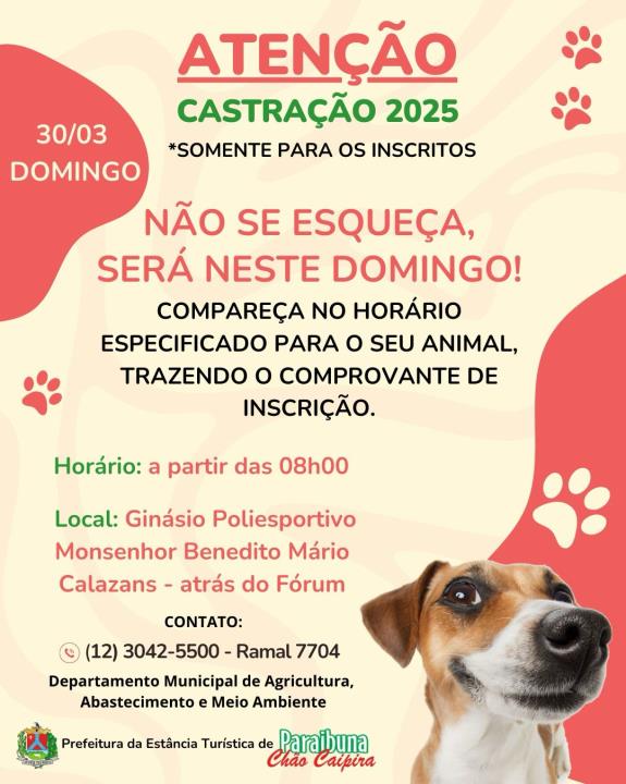 Campanha de Castração acontece neste domingo (30) em Paraibuna
