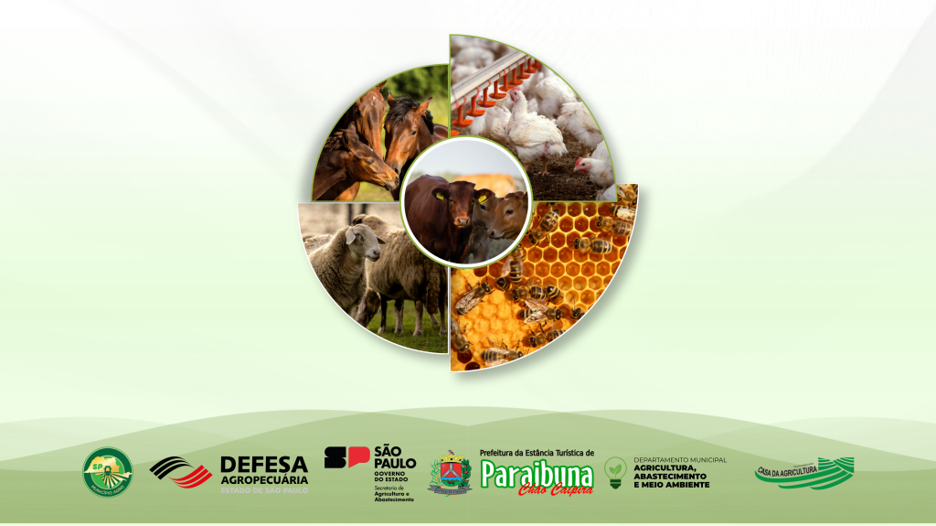 Declaração de Rebanho 2026: Prefeitura divulga plantões de atendimento para orientação aos produtores