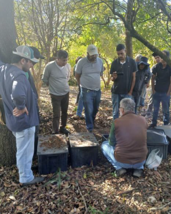 Paraibuna promove curso de poda de frutíferas nativas para produtores rurais