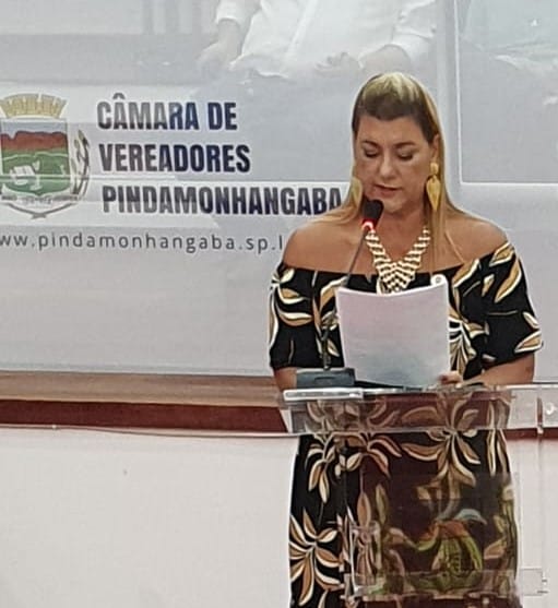 Academia Pindamonhangabense de Letras apresenta sua trajetória e ações na Câmara de Vereadores