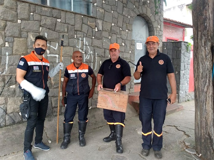 02/05 - Prefeitura alerta população sobre aparecimento de cobras em áreas urbanas