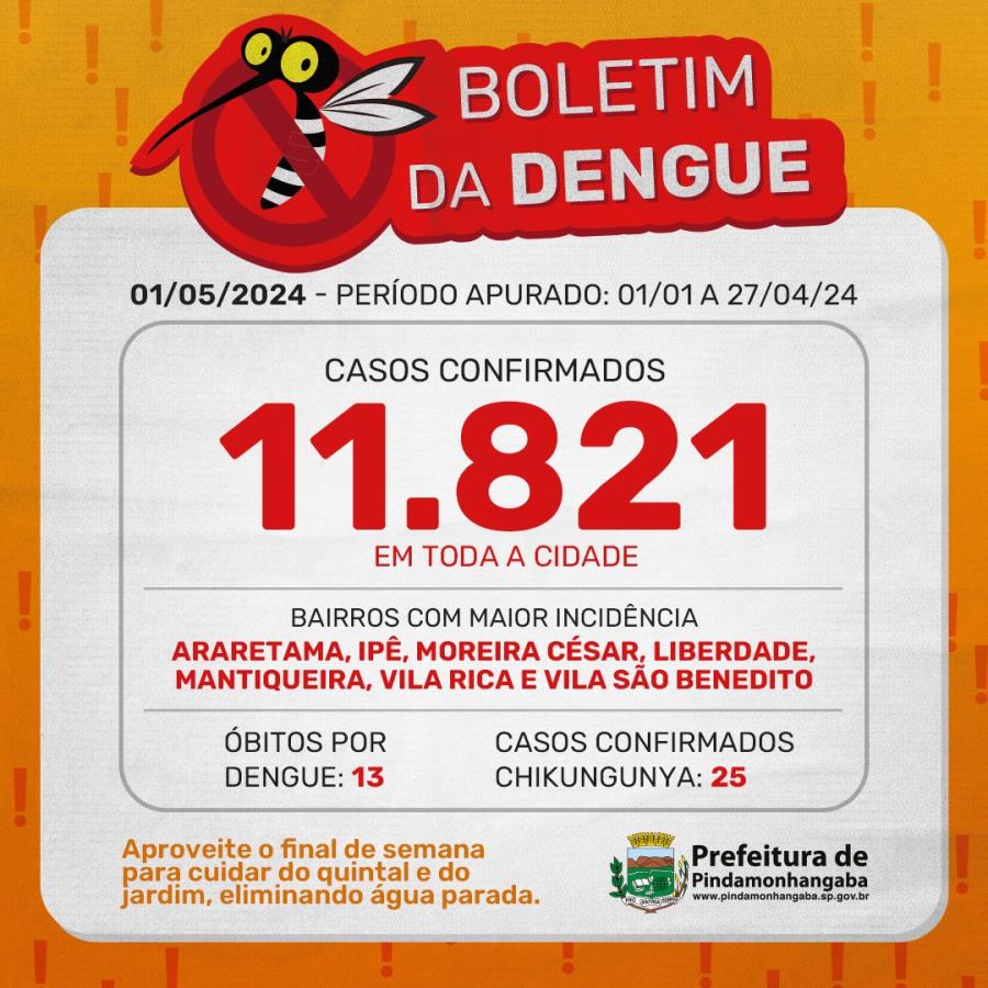 Boletim da dengue: Pinda chega a 11.821 casos em 2024