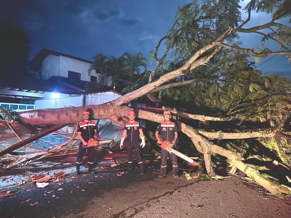 Defesa Civil de Pinda atua de forma rápida e integrada após chuvas e fortes ventos