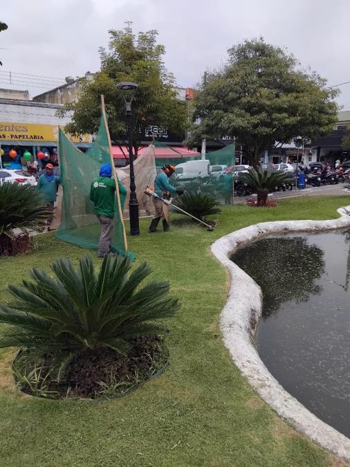 Especial Zeladoria: Ações de jardinagem deixam espaços públicos mais bonitos