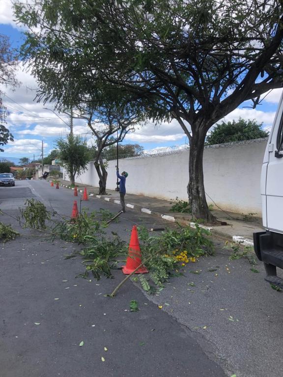 Desenvolvimento Rural realiza podas em escolas e bairros de Pinda