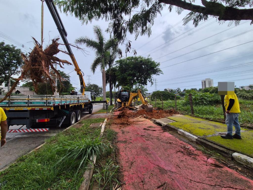 Especial Zeladoria: Mesmo com chuvas intensas, Prefeitura mantém frentes de trabalho por toda a cidade