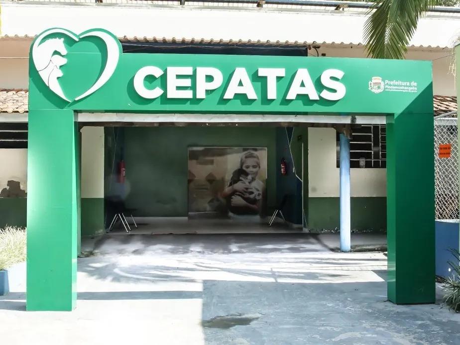 Cepatas alerta para prevenção da esporotricose e reforça importância do tratamento e da guarda responsável