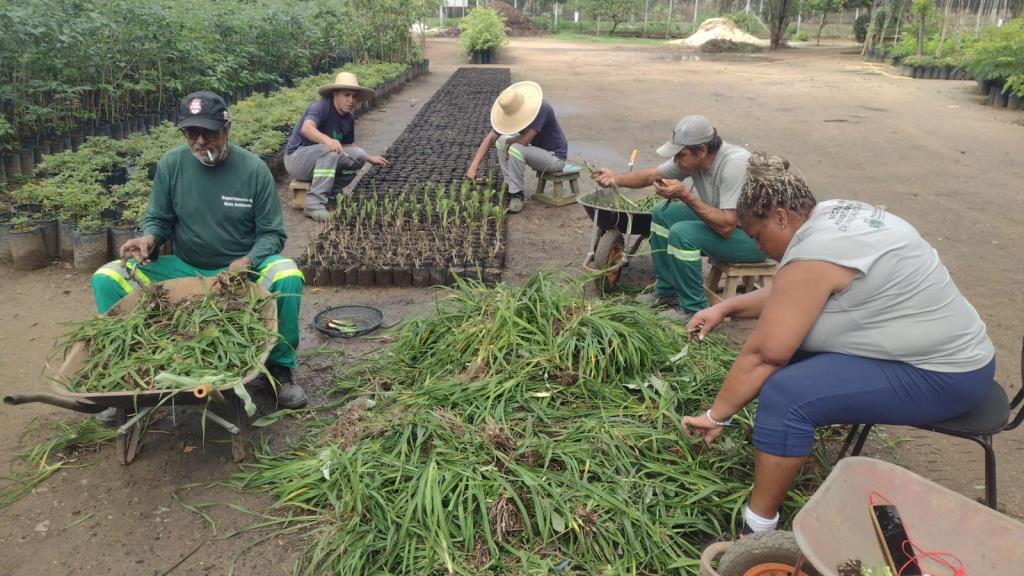 Viveiro Municipal de Pinda passa por modernização com foco em sustentabilidade e tecnologia