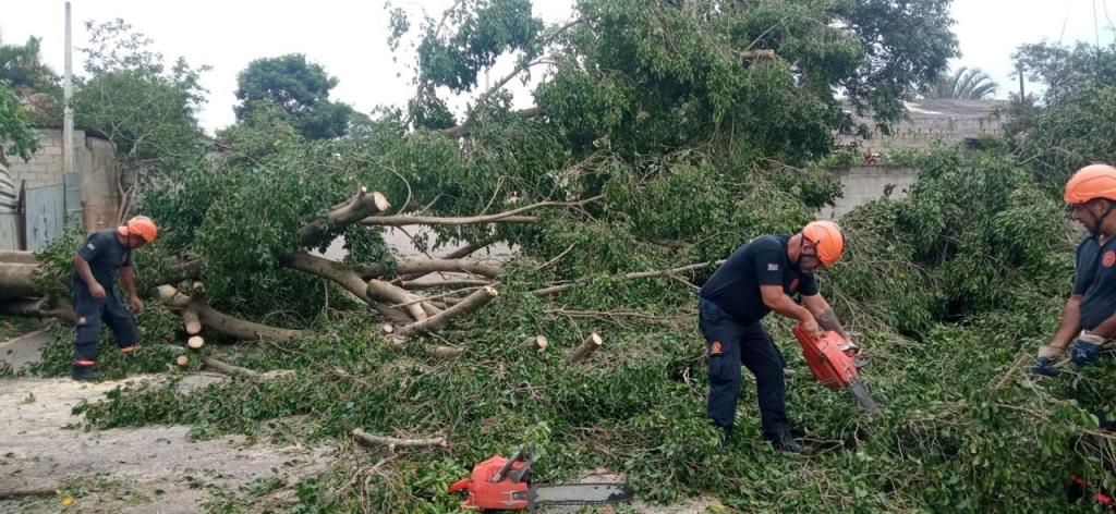 Defesa Civil de Pindamonhangaba registra e atende 66 ocorrências após tempestade
