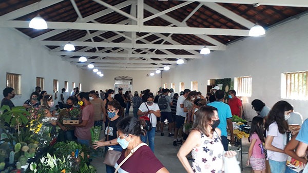 06/09 - Feira do Produtor Rural acontece sábado no Parque da Cidade