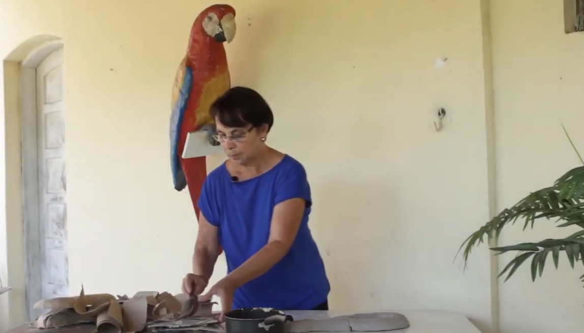 08/04 - Videoaula de papietagem está disponível no canal do youtube de Alarico Corrêa Leite