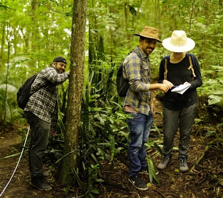 Parque da Cidade é laboratório vivo para pesquisa científica de espécies invasoras em biomas nativos