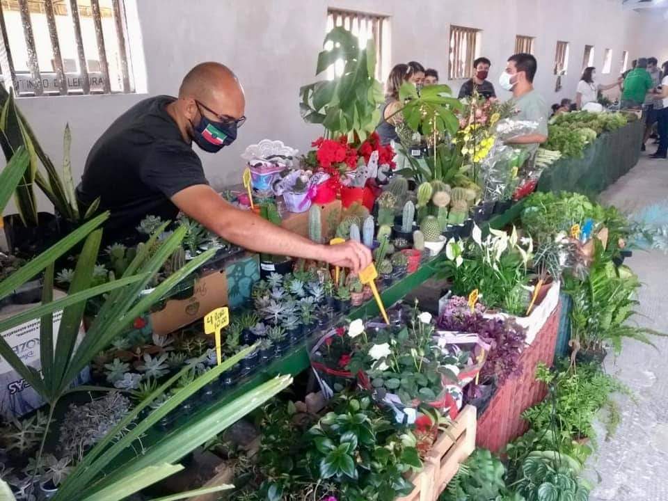09/11 - Feira do Produtor Rural acontece neste sábado no Parque da Cidade