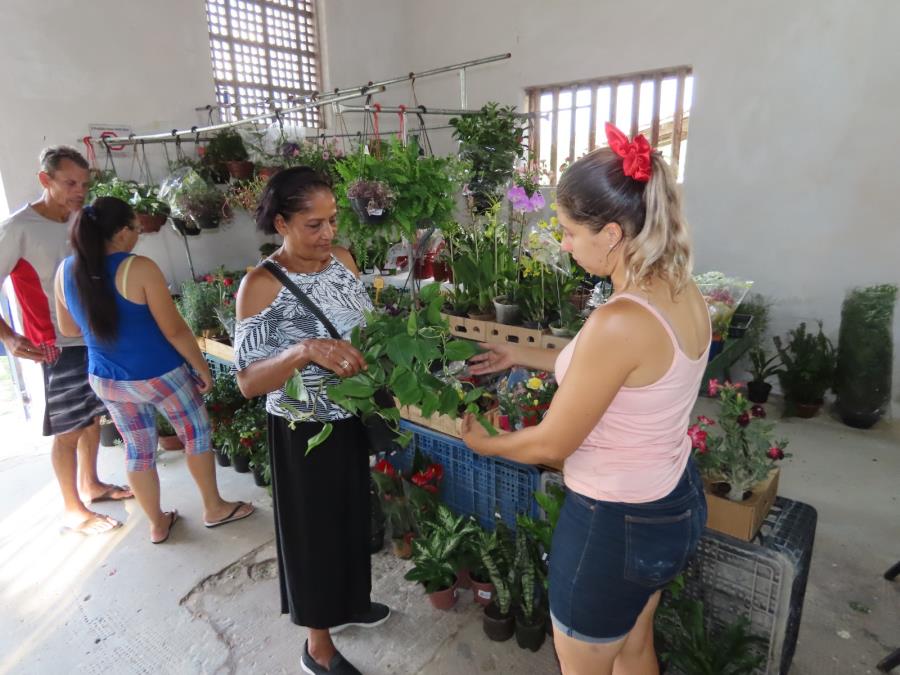 10/10 - Pinda promoverá Feira do Produtor Rural neste sábado