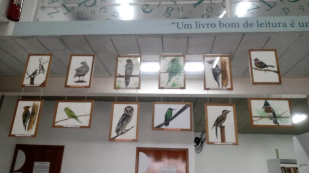 Exposição “Asas da Mantiqueira” chega a Pindamonhangaba em parceria com o Museu Felícia Leirner e Auditório Claudio Santoro