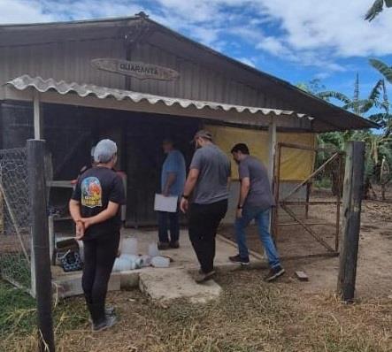 Pinda intensifica apoio aos produtores para fortelecimento do Selo SIM