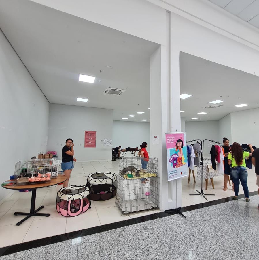 Feira de Adoção do CEPATAS será no Shopping Pátio Pinda