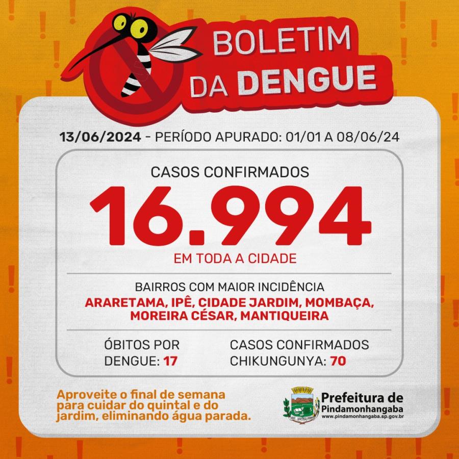 Boletim da dengue: Pinda chega a 16.994 casos em 2024