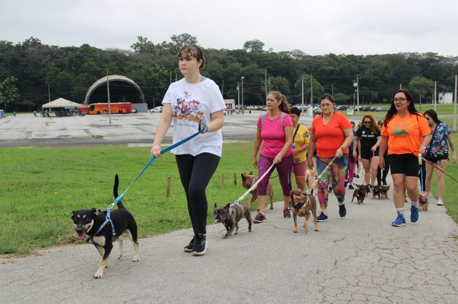 Dog Fashion Day acontece neste domingo (15) no Parque da Cidade em Pinda