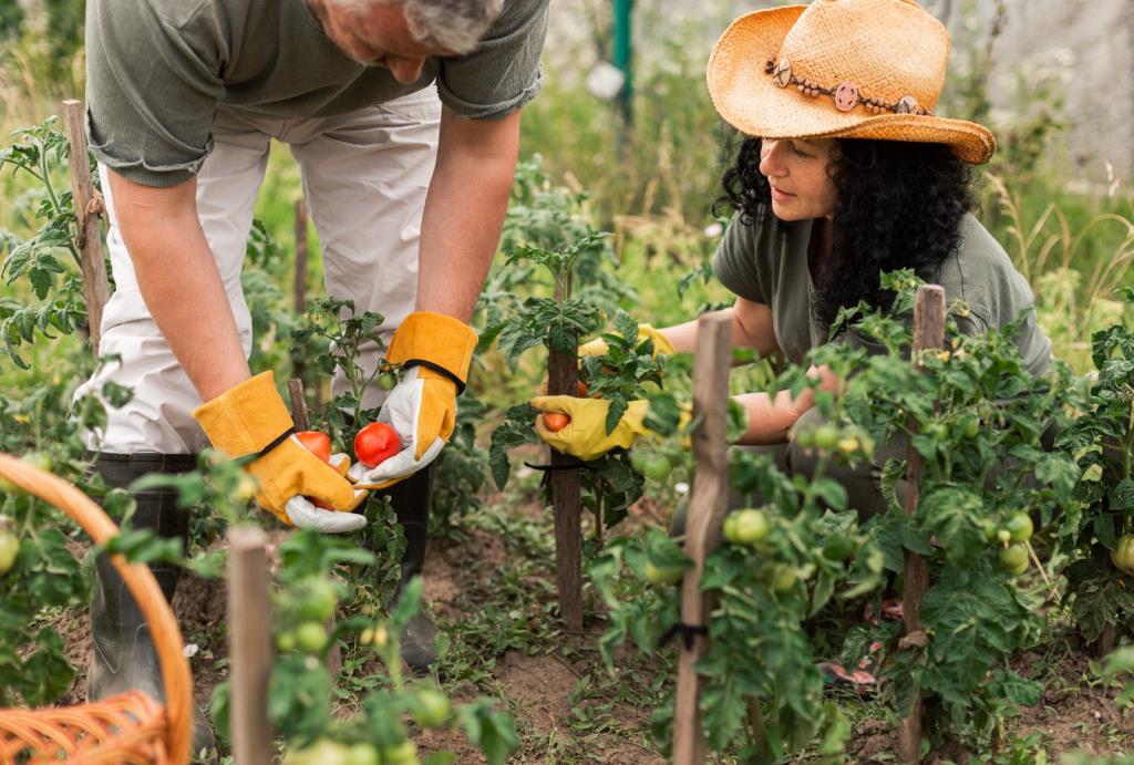 Programas fortalecem a agricultura familiar e garantem alimentação de qualidade em Pinda