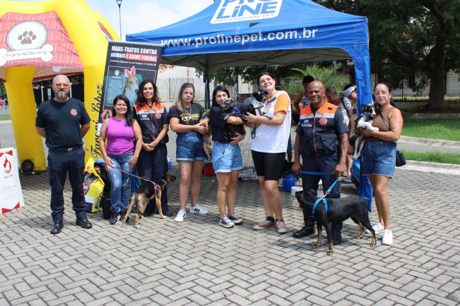 Feira possibilita adoção de cinco animais, incluindo uma cadela adulta