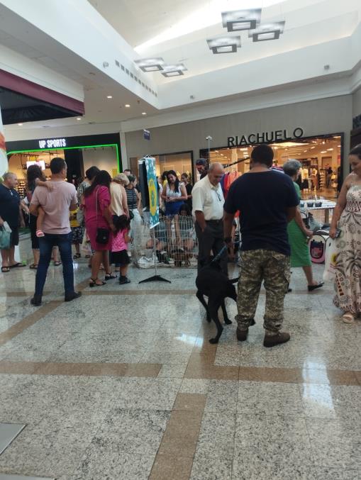 Feira proporciona adoção de 13 animais no shopping