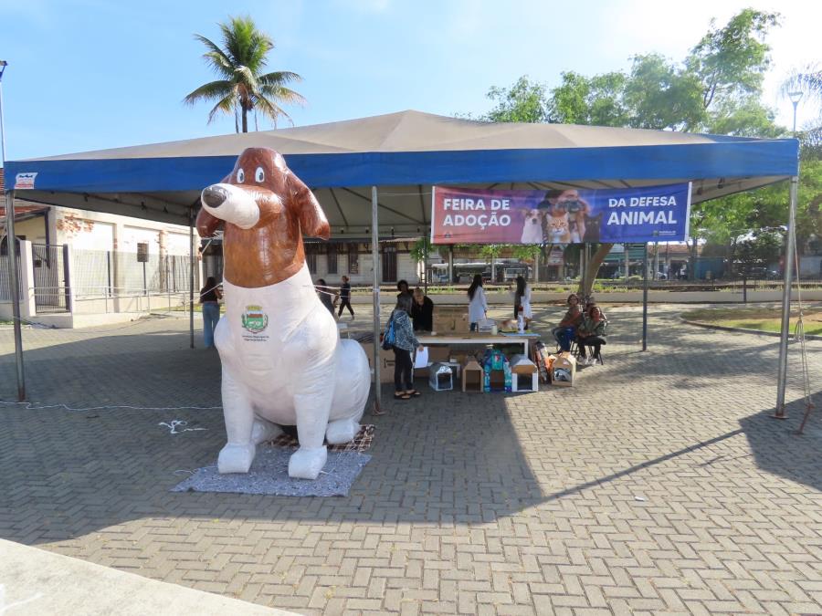 Praça Sete de Setembro recebe quinto encontro da Defesa Animal de Pinda