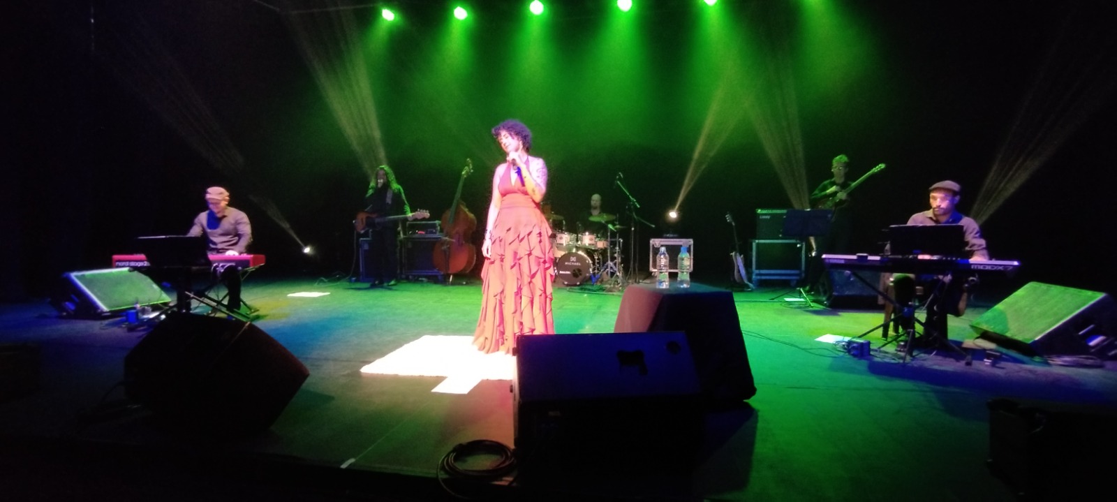 Show “Nas curvas de Elis” homenageia Elis Regina no Teatro Galpão em Pindamonhangaba