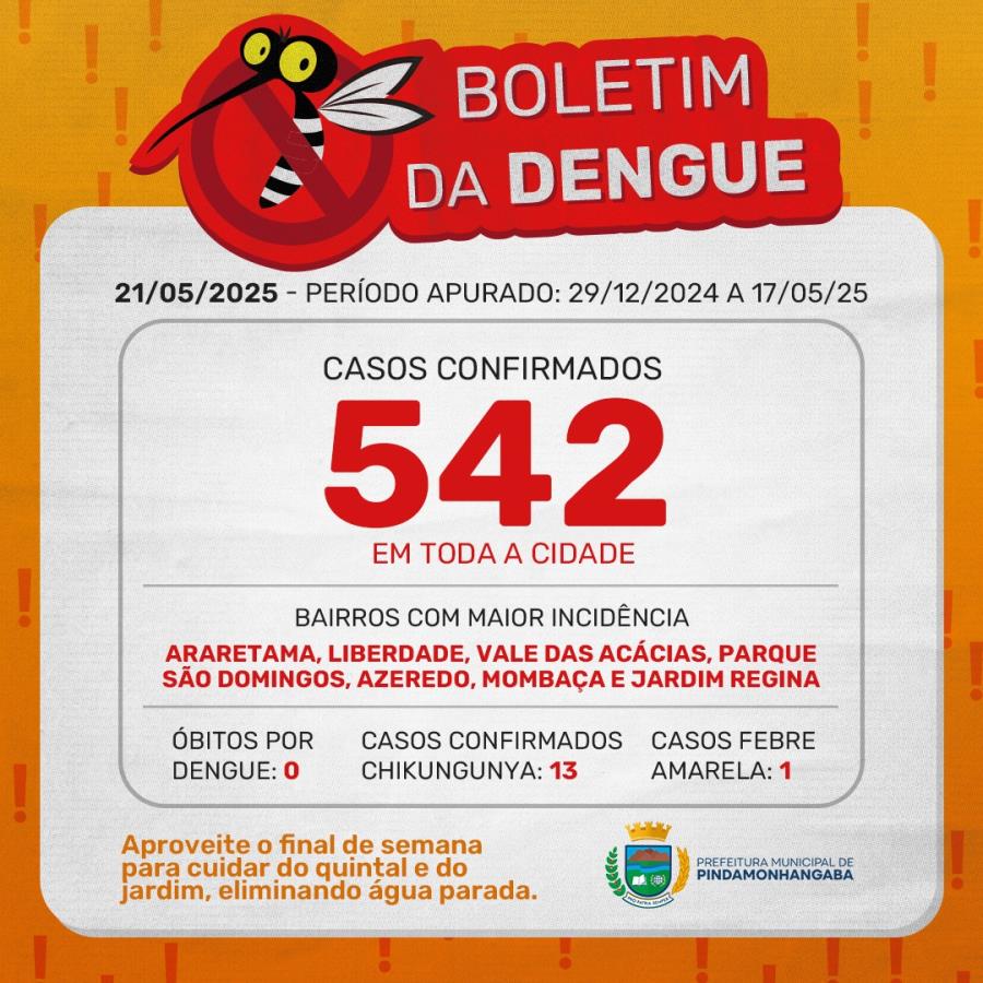 Boletim da dengue: Pinda chega a 542 casos em 2025