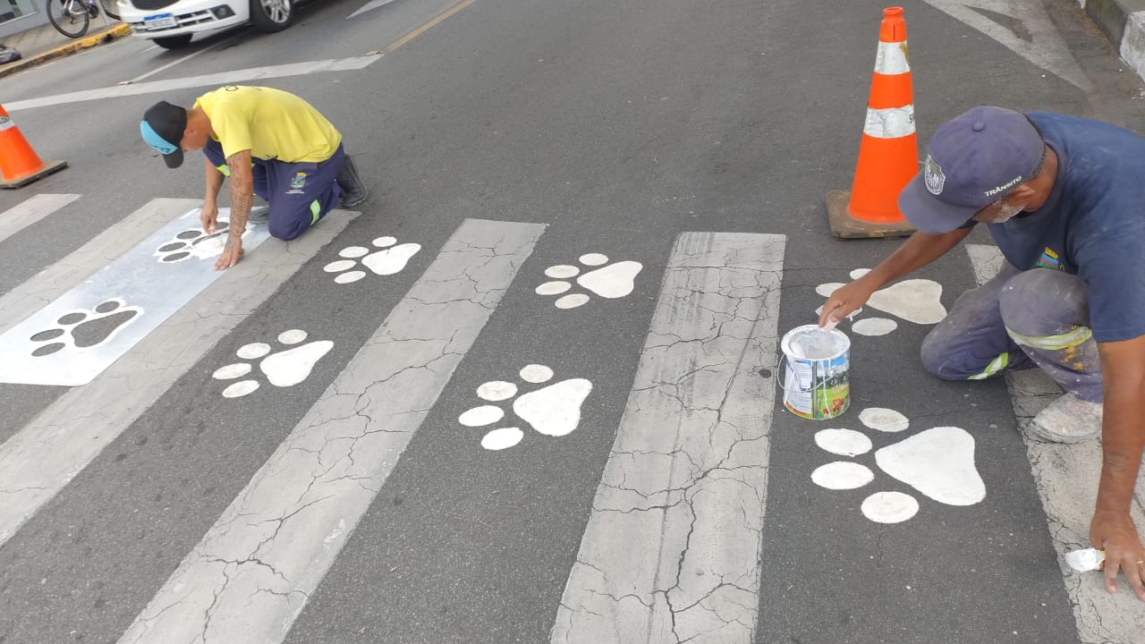 Pinda inicia Projeto Antonieta e pinta faixas de trânsito para travessia segura de animais