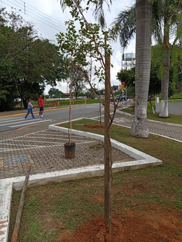 Fonte d’água Bica da Galega recebe nova arborização e revitalização ornamental