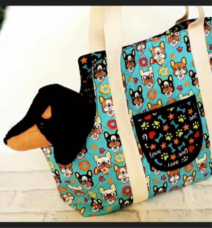 Workshop de moda pet oferece capacitação e oportunidade de renda em Pinda