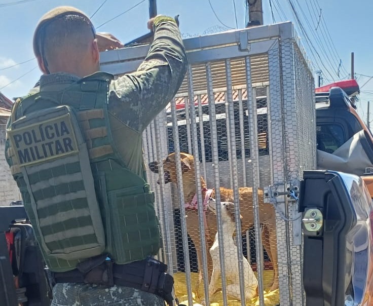 Casal é multado em R$ 33 mil por maus-tratos em animais no bairro Cícero Prado