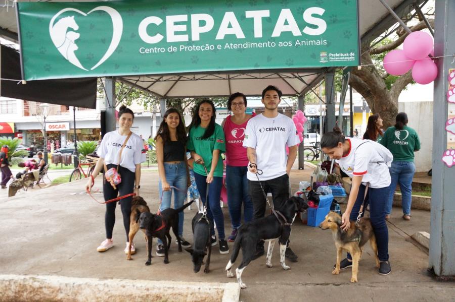 CEPATAS disponibiliza ficha de cadastro para protetores de animais em Pinda