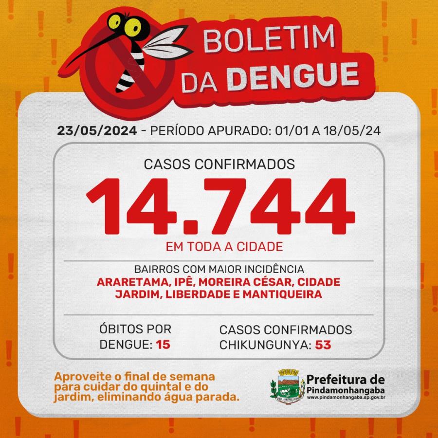 Boletim da dengue: Pinda chega a 14.744 casos em 2024