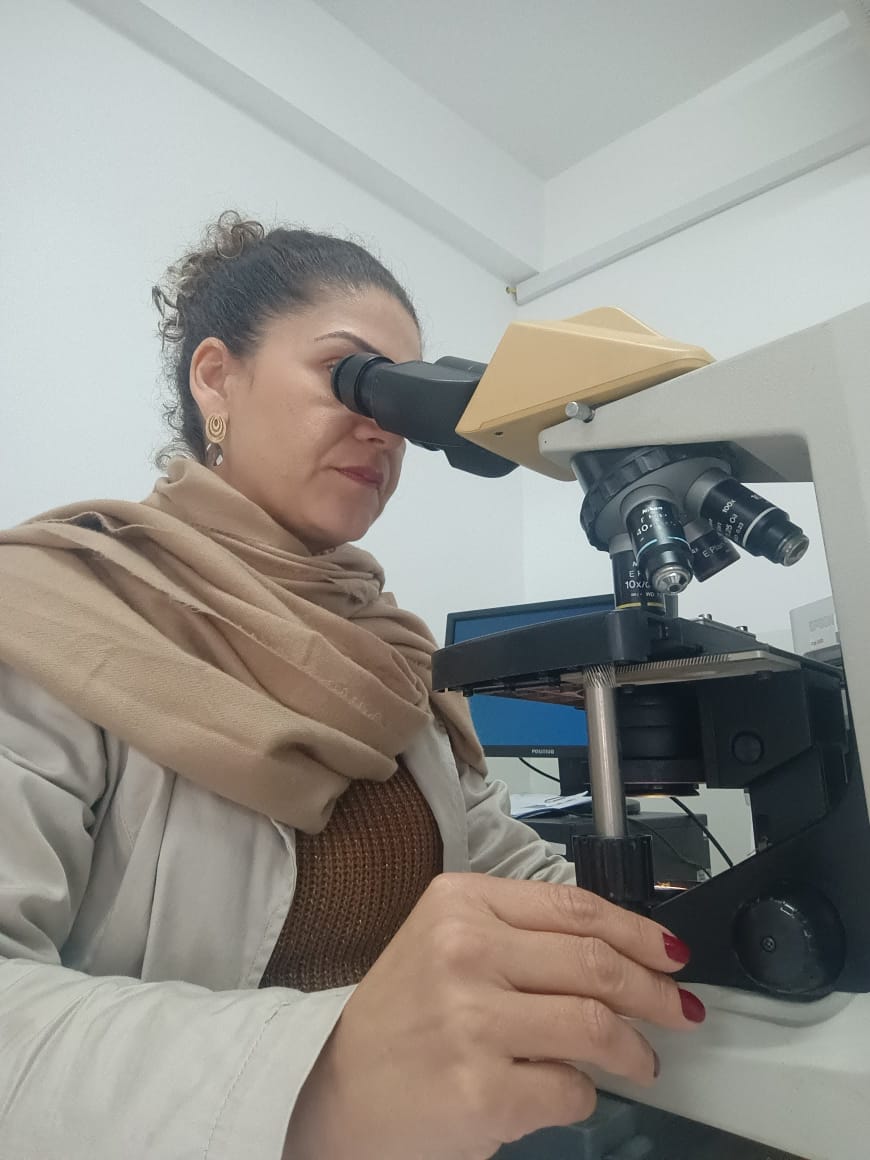 Pindamonhangaba atinge 95,4% de excelência na avaliação de diagnósticos de Papanicolau, segundo Fosp e Unicamp