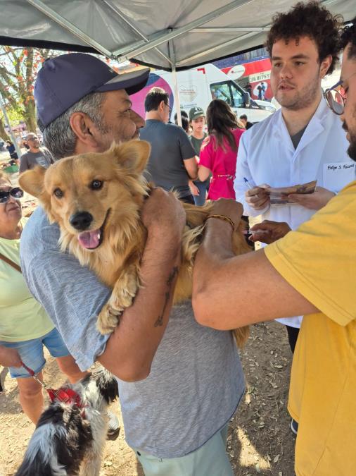 Prefeitura realiza vacinação de cães e gatos no Araretama com grande adesão da população