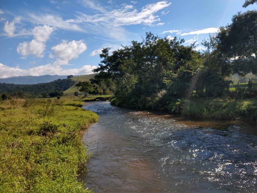 Bom Dia SP, Quadro Verde mostra a relação da cidade com a natureza