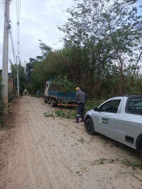Prefeitura inicia poda e limpeza na Estrada do Kanegae para reforçar segurança e melhorar tráfego