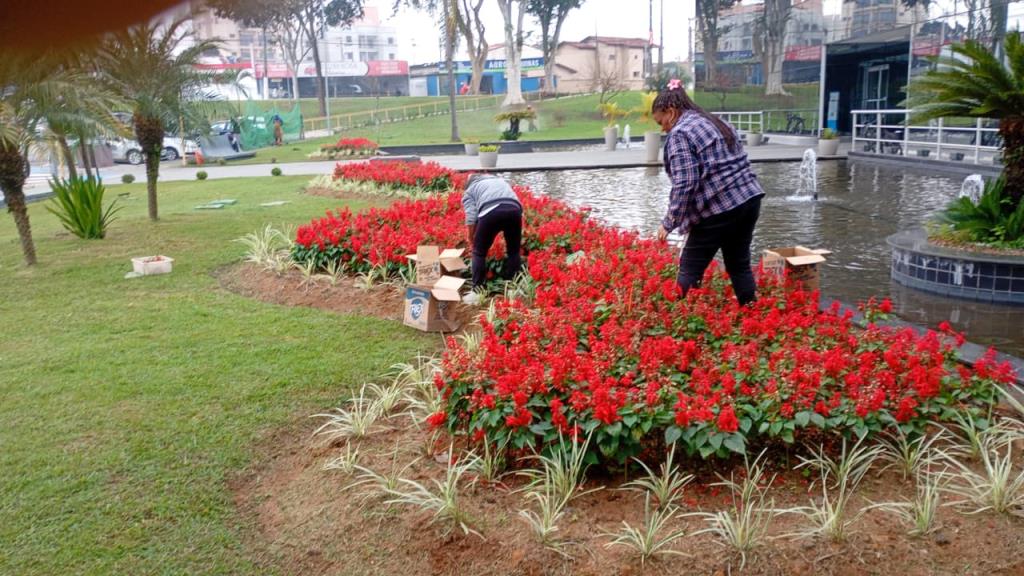 Viveiro Municipal inicia produção própria de mudas ornamentais para fortalecer paisagismo urbano