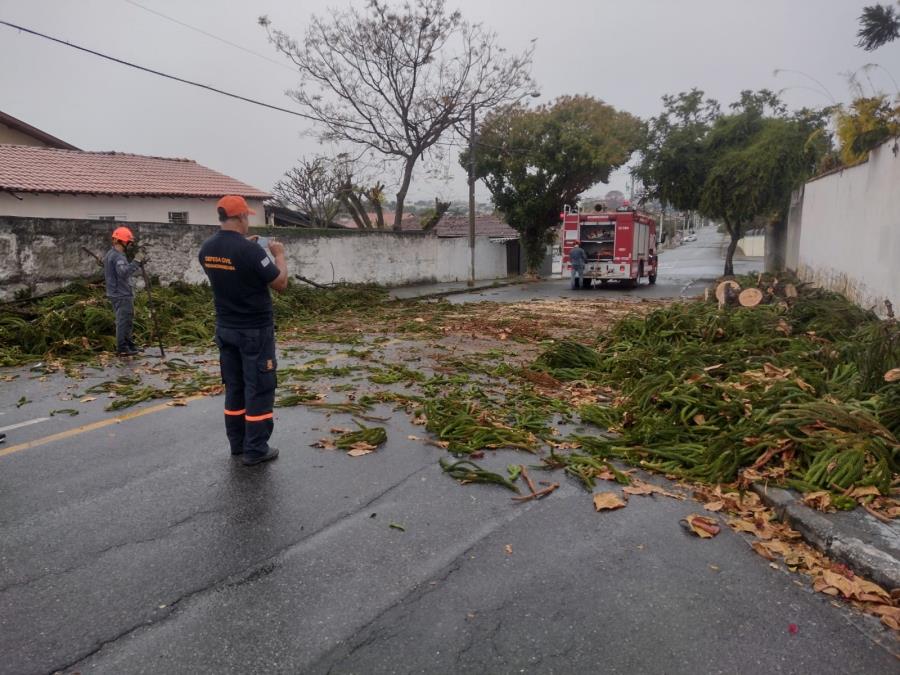 29/07 - Defesa Civil e Corpo de Bombeiros atendem ocorrência de queda de árvore no Vila Rica