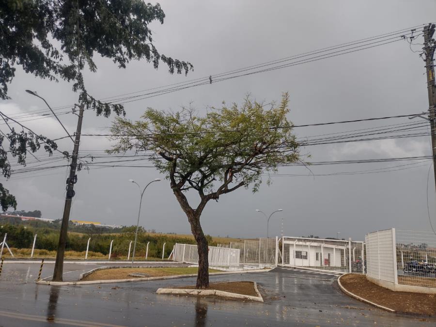Prefeitura realiza manutenção com serviços de poda no Distrito Industrial de Pindamonhangaba