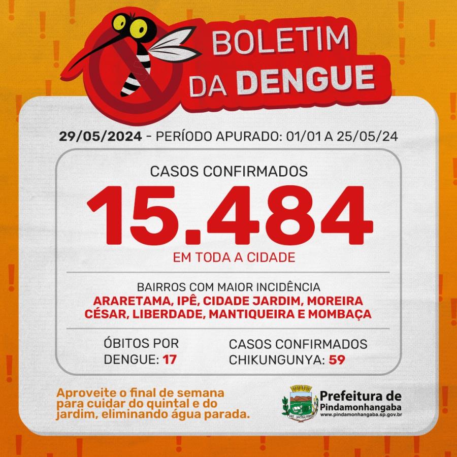 Boletim da dengue: Pinda chega a 15.484 casos em 2024