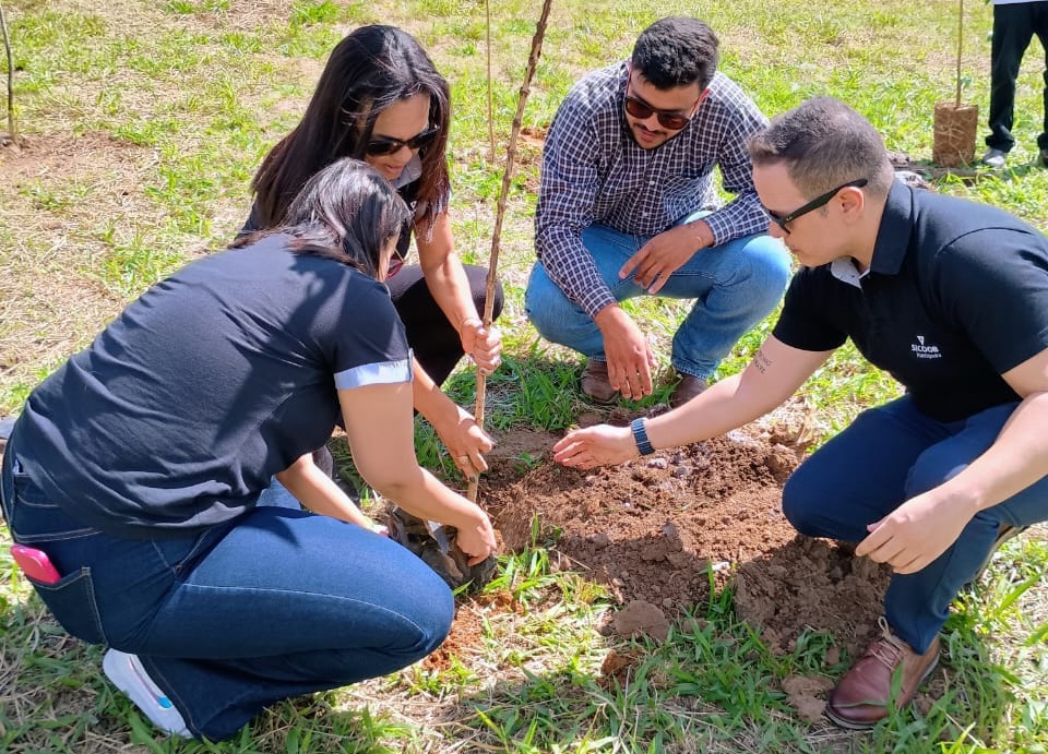 Prefeitura de Pinda e SICOOB plantam 100 de árvores nativas no Shangri-lá